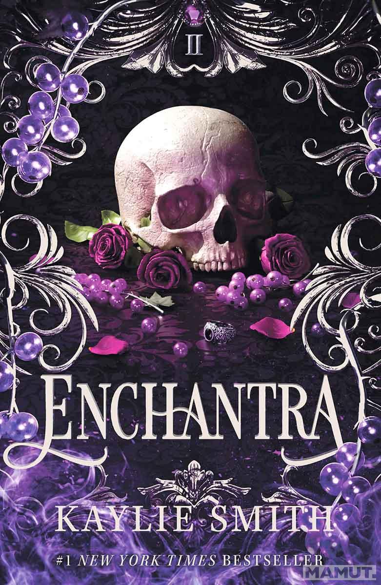 ENCHANTRA TikTok Hit, book 2 
