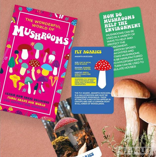 Kartice THE WONDERFUL WORLD OF MUSHROOMS 