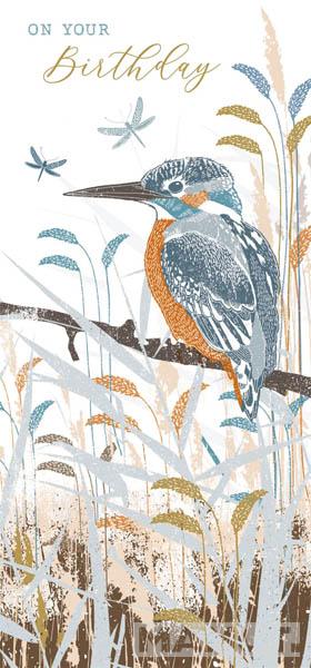 Rođendanska čestitka WOODLAND KINGFISHER