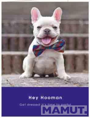 Čestitka FRENCH BULLDOG PARTY 