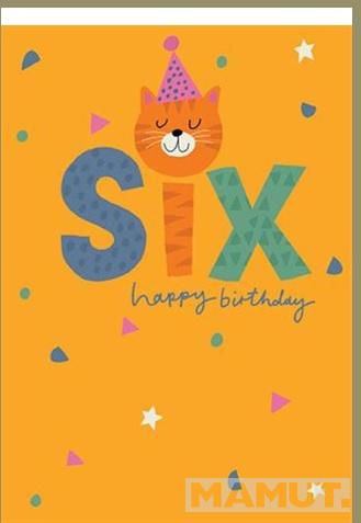 Rođendanska čestitka SIX - CAT HAPPY BIRTHDAY 