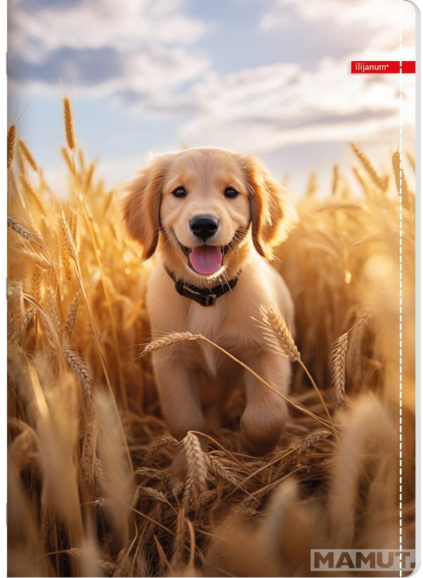Sveska na kvadratiće A5 PETS 52 lista (Više vrsta) 