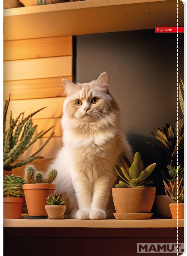 Sveska na kvadratiće A5 PETS 52 lista (Više vrsta) 