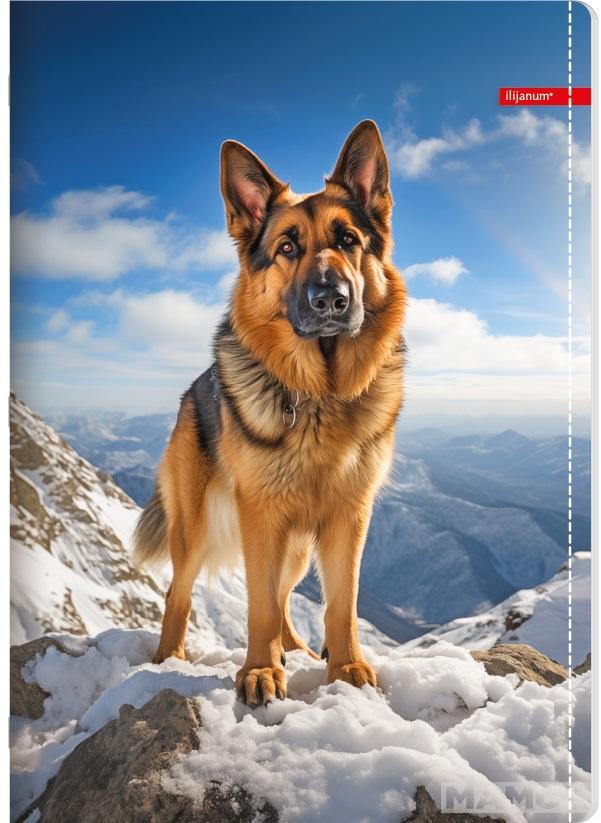 Sveska na kvadratiće A5 PETS 52 lista (Više vrsta) 