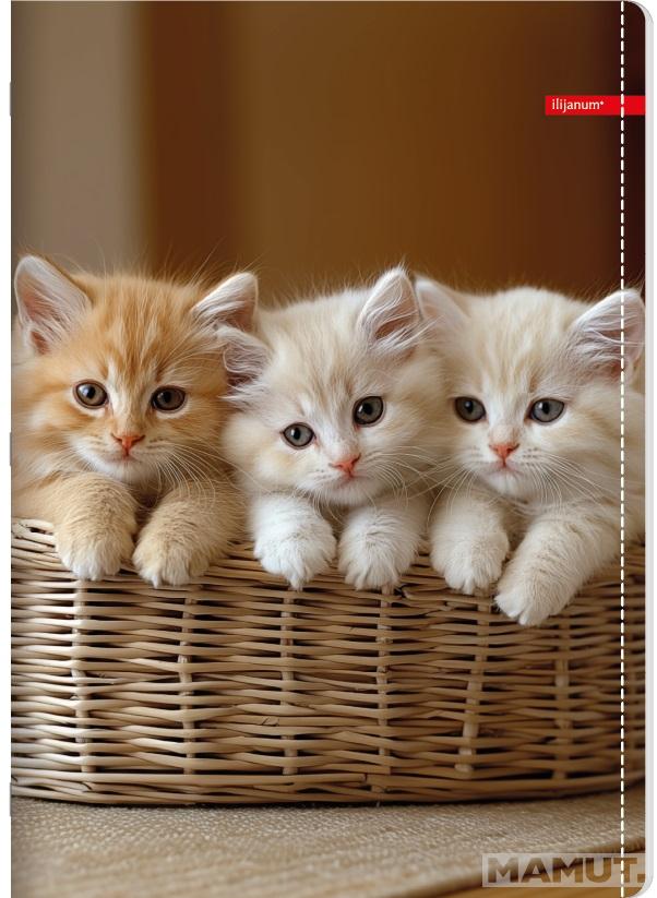 Sveska na kvadratiće A5 PETS 52 lista (Više vrsta) 