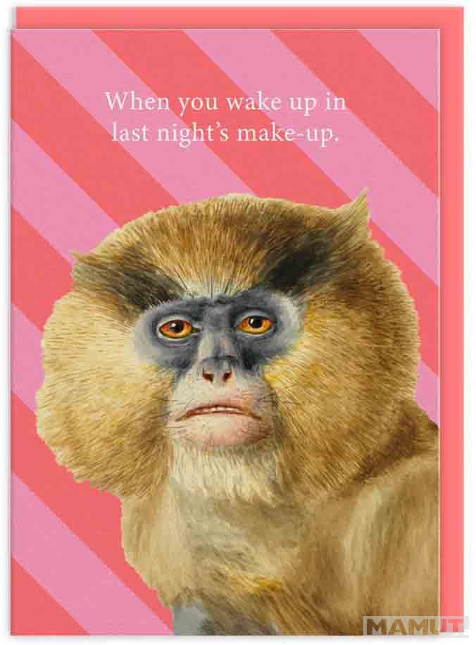 LAST NIGHT'S MAKE UP GREETING CARD (12185) (NHMGC12185) 