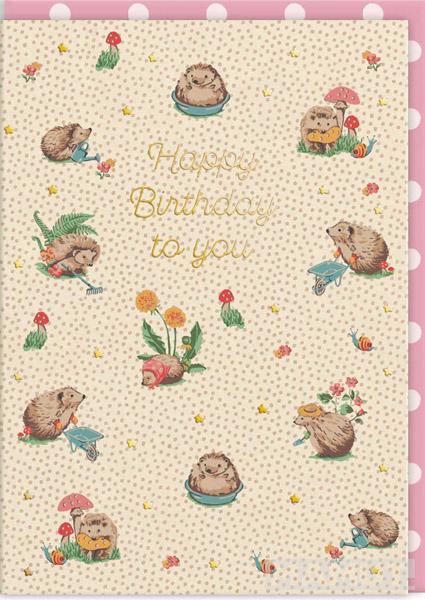 Rođendanska čestitka CATH KIDSTON HEDGEHOGS 