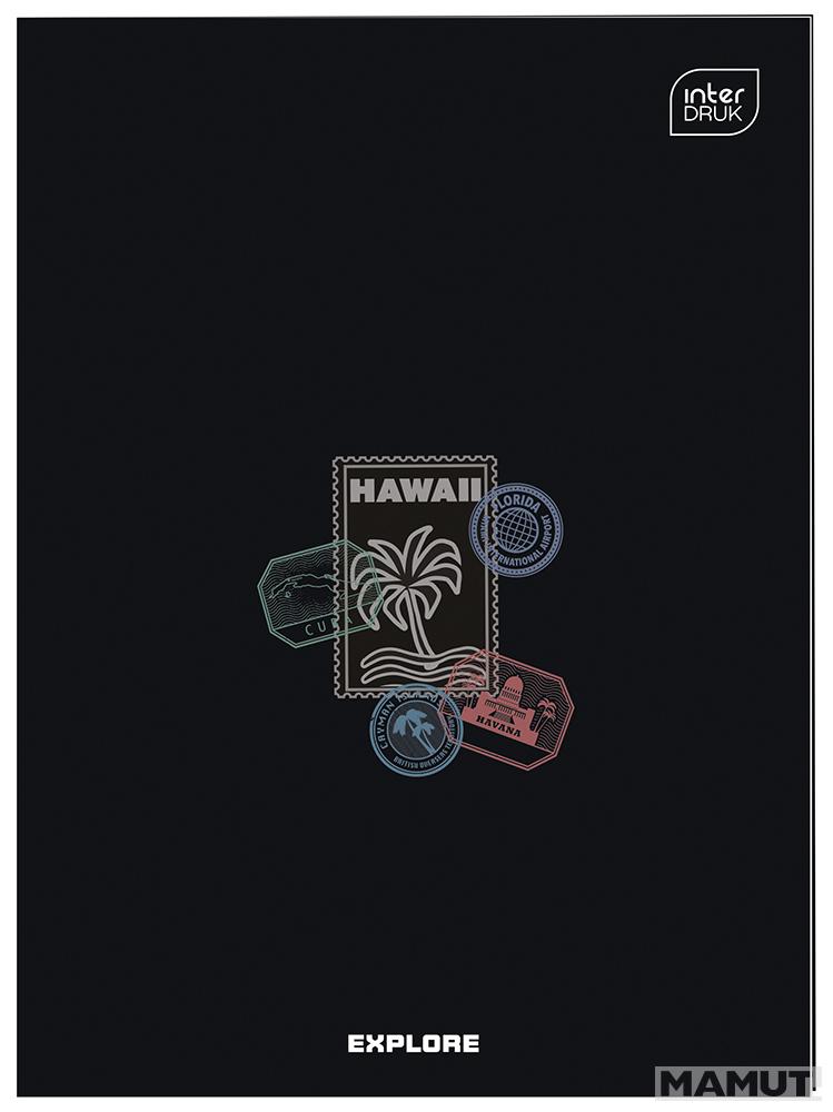 Sveska A4, 96 listova na linije (Više vrsta) 