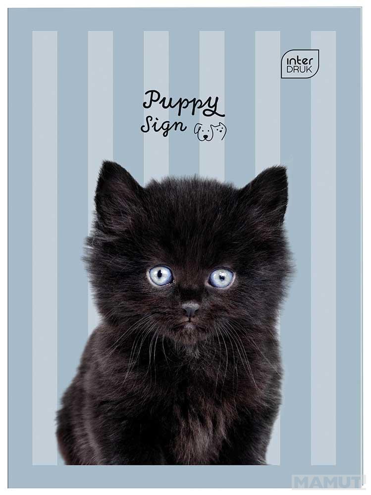 Sveska na kvadratiće A6 PUPPY 32 lista (Više vrsta) 