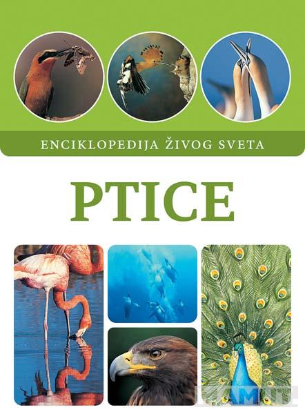 PTICE 