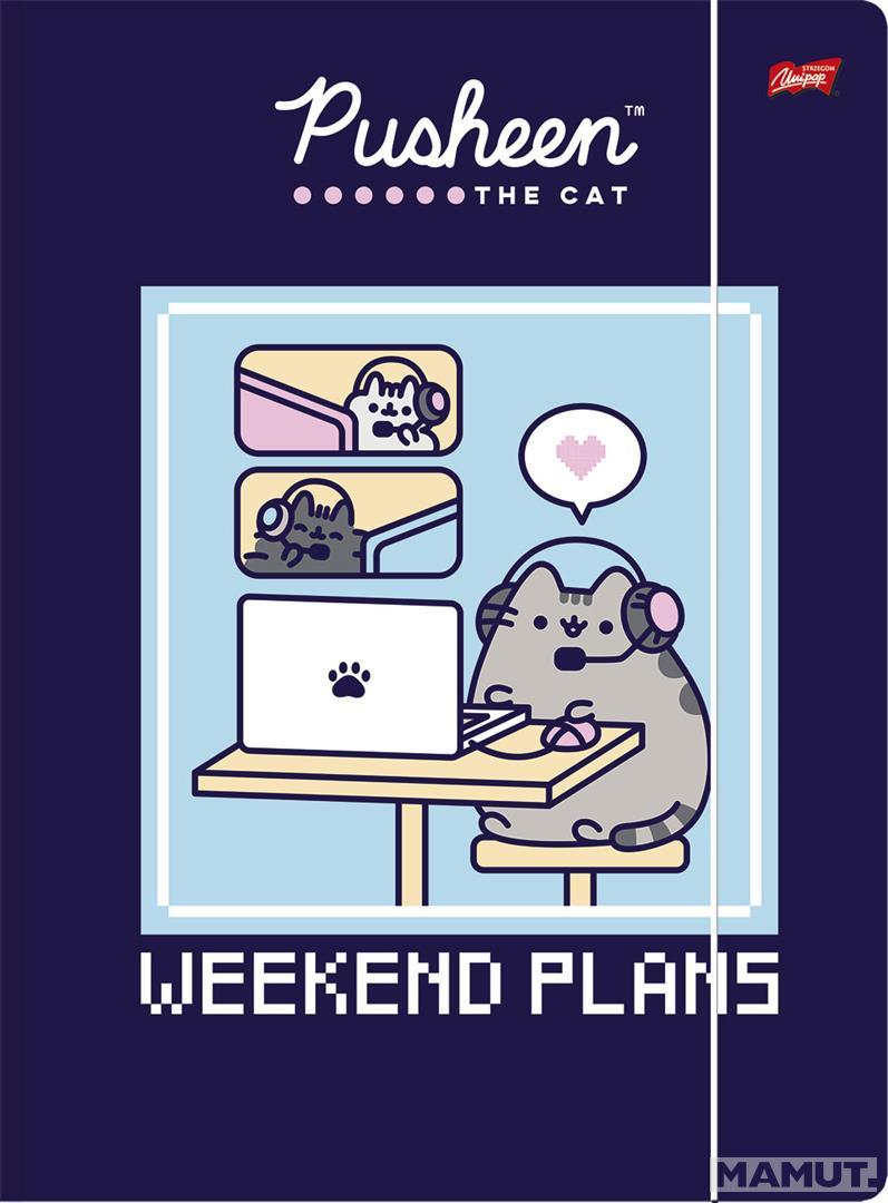 Fascikla A4 PUSHEEN THE CAT (DVE VRSTE) 
