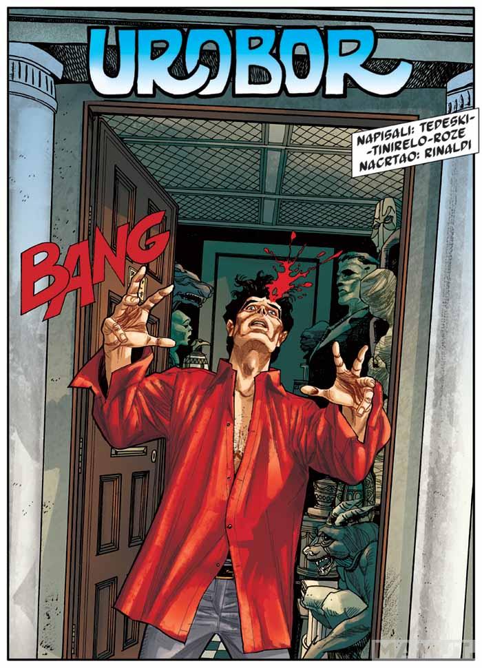 DILAN DOG Obojeni program 89 