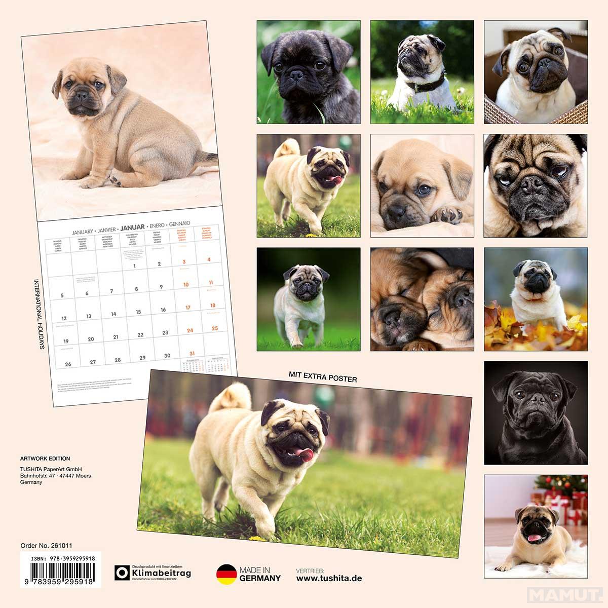 Zidni kalendar 2026 MOPS - PUGLETS 