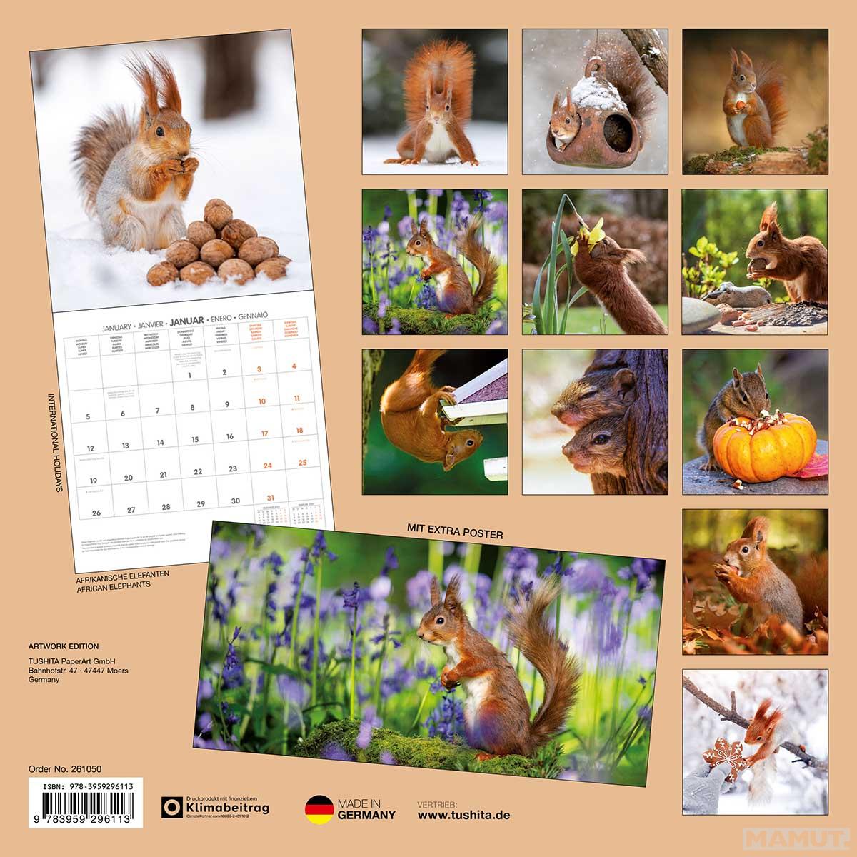 Zidni kalendar 2026 SQUIRREL 