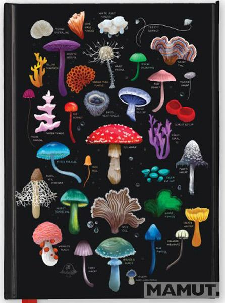 Notes ANNA STEAD: MUSHROOMS & FUNGI 