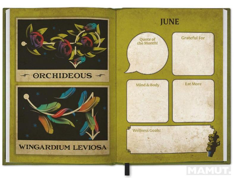 HARRY POTTER dnevnik A5 2026 