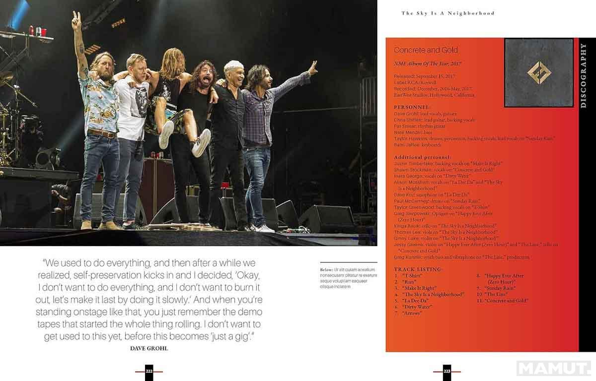 FOO FIGHTERS The Band that Dave Made 