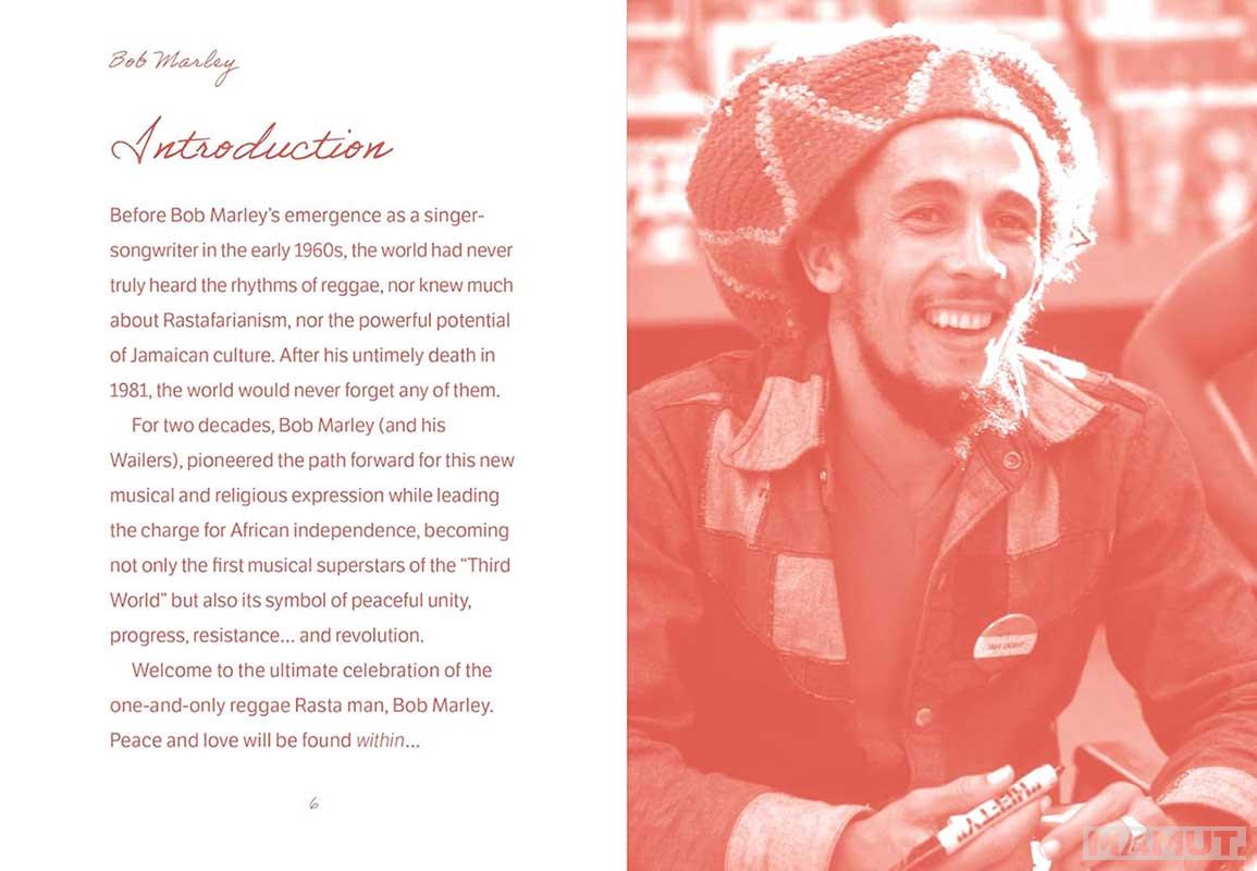 THE POCKET BOB MARLEY 