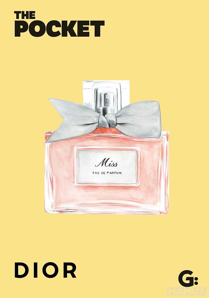 THE POCKET DIOR 
