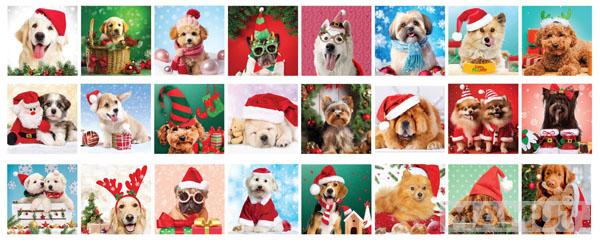 Advent kalendar - puzzle CHRISTMAS PAWS 