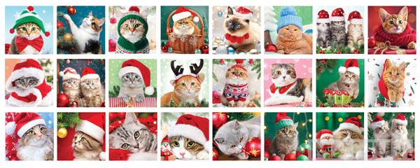Advent kalendar - puzzle CHRISTMAS WHISKERS 