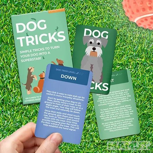 Kartice 100 TRIKOVA ZA PSE 