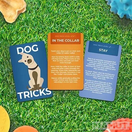 Kartice 100 TRIKOVA ZA PSE 