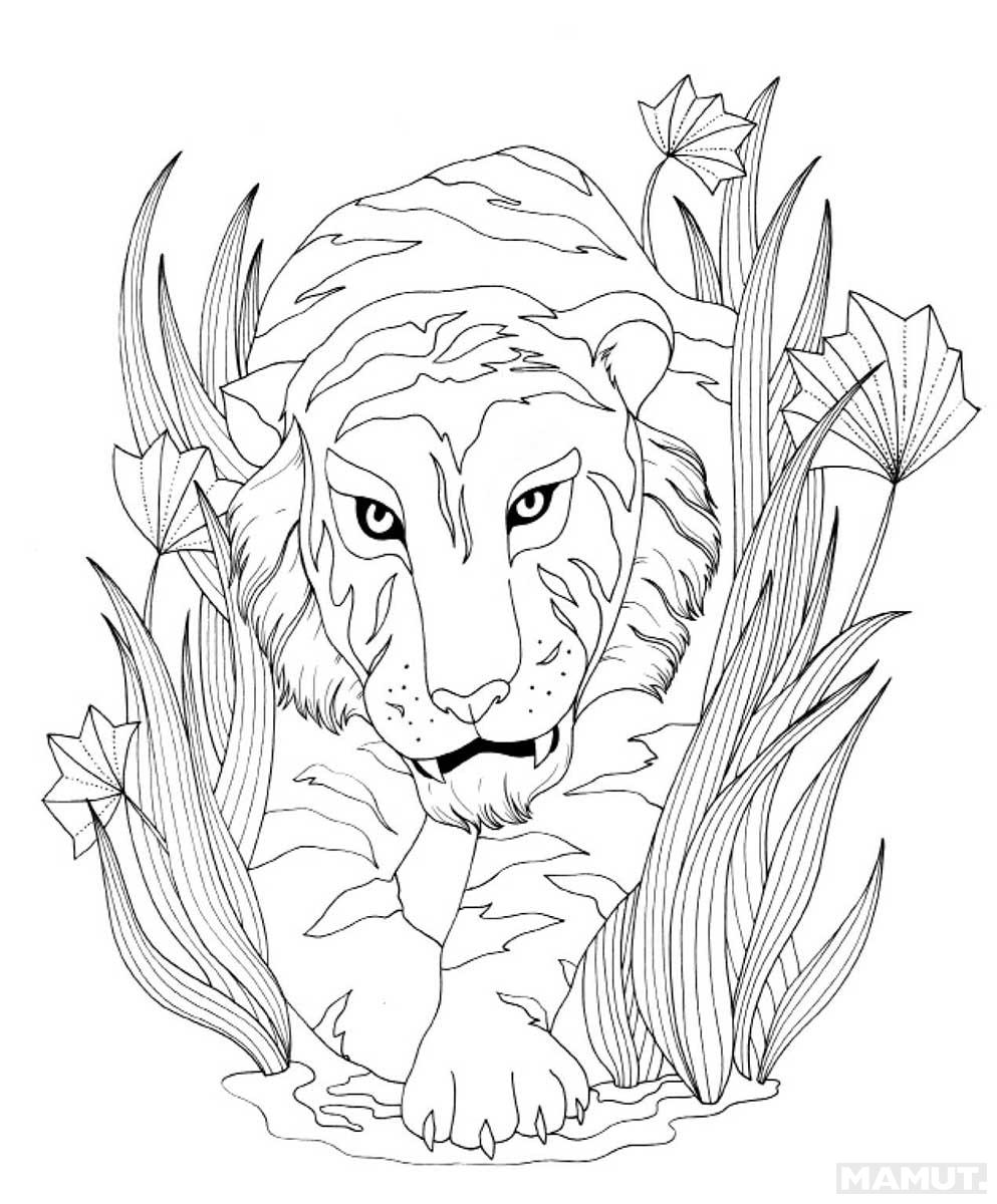 KNJIGA O DŽUNGLI - BOJANKA 