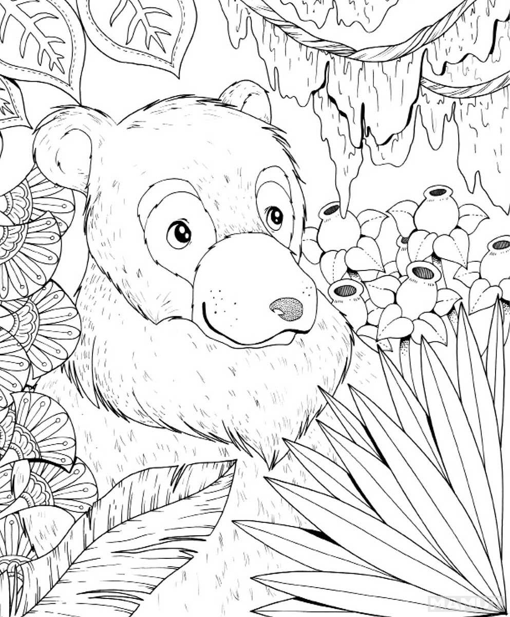 KNJIGA O DŽUNGLI - BOJANKA 