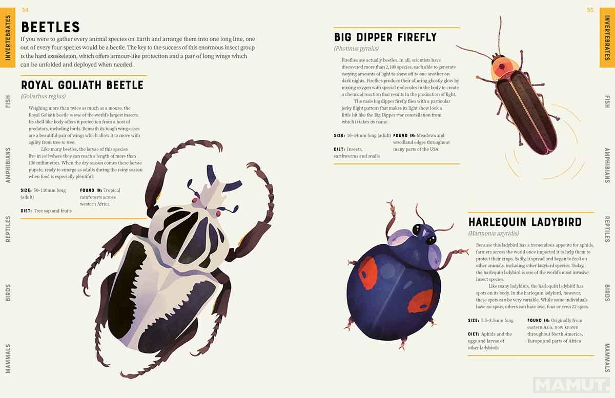 ENCYCLOPEDIA OF ANIMALS 