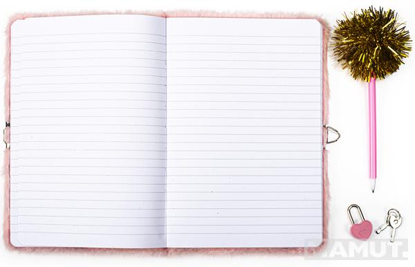 Tajni dnevnik sa ključem PANDA 