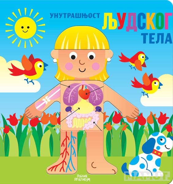 UNUTRAŠNJOST LJUDSKOG TELA 