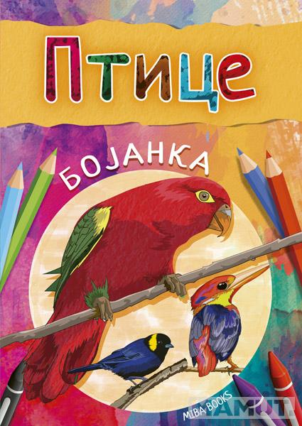 BOJANKA - PTICE 